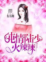 純情陸少火辣辣