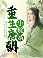 重生唐朝小贅婿