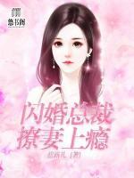 閃婚總裁撩妻上癮
