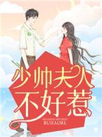 少帥夫人不好惹