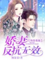 快穿系統(tǒng)：嬌妻，請賜教