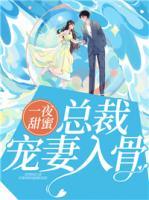 一夜甜蜜：總裁寵妻入骨