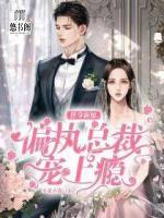 替身新娘，偏執(zhí)總裁寵上癮