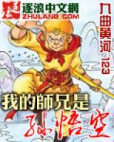 我的師兄是孫悟空