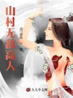 山村無(wú)敵高人