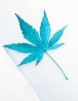 腹黑總裁套路深