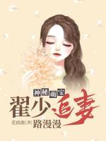 神秘萌寶：翟少追妻路漫漫