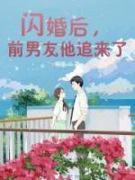 閃婚后，前男友他追來了