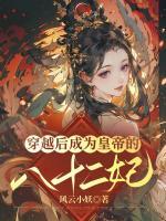 穿越后成為皇帝的八十二妃