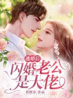 逃婚后，閃婚老公是大佬