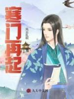 寒門再起