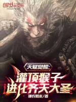 天賦覺醒：灌頂猴子進(jìn)化齊天大圣