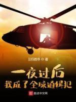 一夜過(guò)后，我成了全球通緝犯
