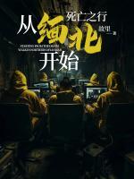 從緬北死亡之行開始