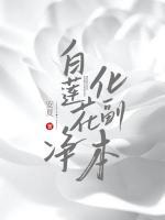 白蓮花凈化副本