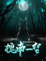 槐南一夢