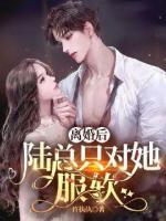 離婚后，陸總只對她服軟