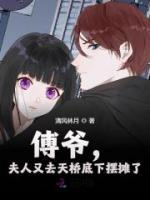 傅爺，夫人又去天橋底下擺攤了