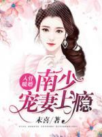 入骨暖婚：南少寵妻上癮