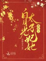 重生后，白月光太子妃她黑化了