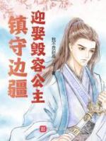 鎮(zhèn)守邊疆，迎娶毀容公主