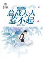 刁蠻萌妻：總裁大人惹不起