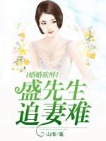 婚婚欲醉，盛先生追妻難