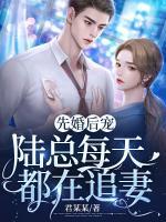 先婚后寵：陸總每天都在追妻