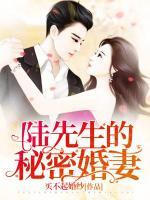 陸先生的秘密婚妻
