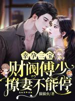 幸孕三寶：財(cái)閥傅少撩妻不能停