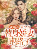 新婚夜，霍少的替身嬌妻跑路了