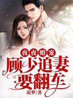 夜夜婚寵：顧少追妻要翻車
