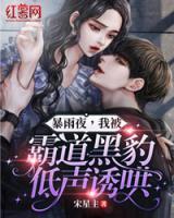 暴雨夜，我被霸道黑豹低聲誘哄！