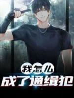 我怎么成了通緝犯