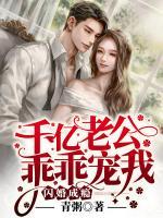 閃婚成癮：千億老公乖乖寵我