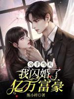 分手當天，我閃婚了億萬富豪