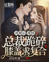 離婚后，薄情總裁跪碎膝蓋求復(fù)合