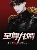 至尊龍婿