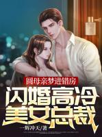 圓母親夢進錯房，閃婚高冷美女總裁！