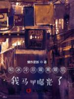和冰冷總裁離婚后，我馬甲曝光了