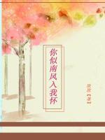 你似南風(fēng)入我懷