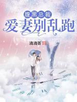 腹黑總裁：愛妻別亂跑