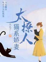 貓系嬌妻太撩人