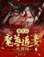 重生后魔尊追妻火葬場
