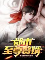都市至尊贅婿