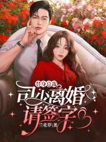 替身總裁，司少離婚請簽字