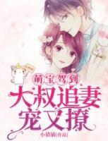 萌寶駕到：大叔追妻寵又撩