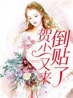 賀少又來倒貼了