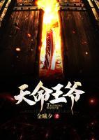 天命王爺