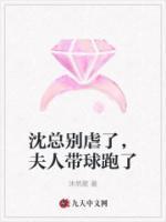 沈總別虐了，夫人帶球跑了
